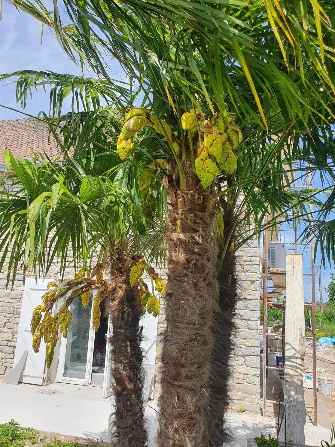Domaine Ravy-Lilas Saint-Symphorien-sur-Saone Exterior foto